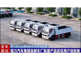 Chengli Special Automobile Co.,Ltd Ship out the Mini Tipper Dump Truck 